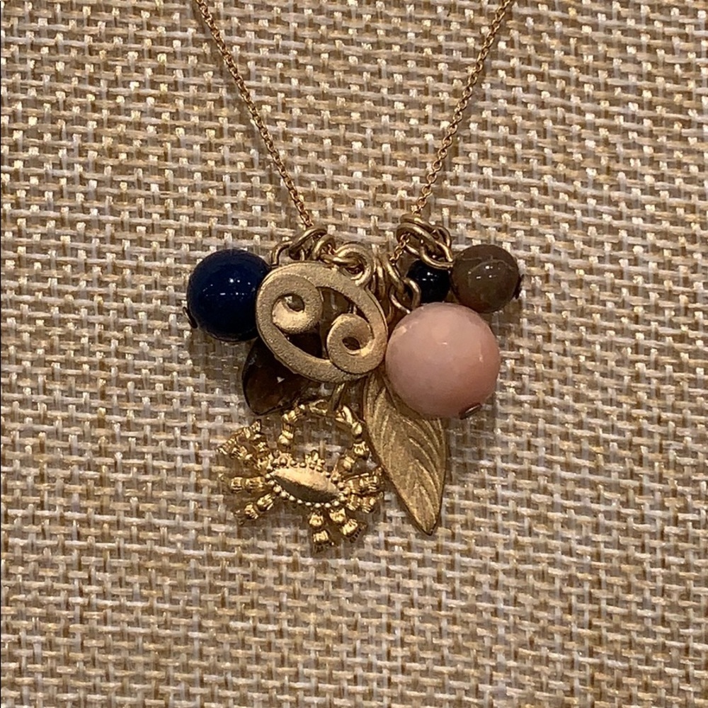Cancer ♋️ Horoscope Charm Necklace